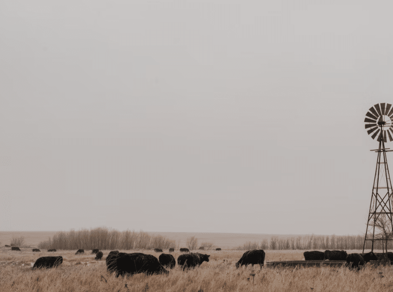 Free Land